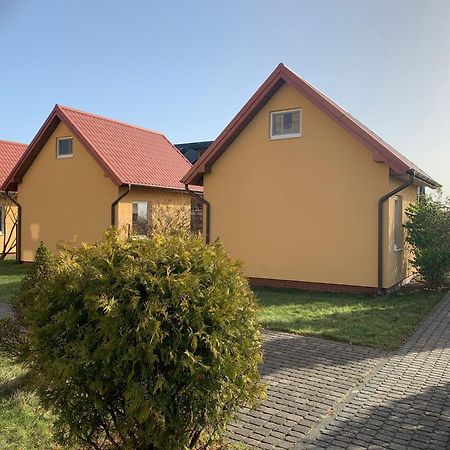 Bed and Breakfast Sedna à Jastrzębia Góra Extérieur photo